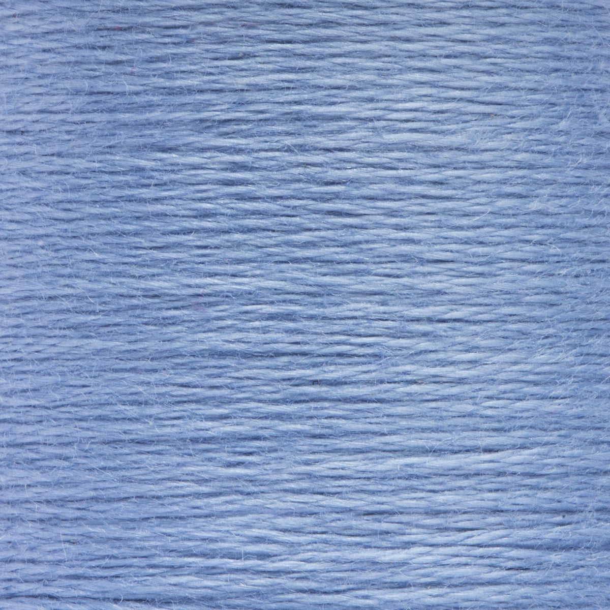 0121 Blueberry Medium Light