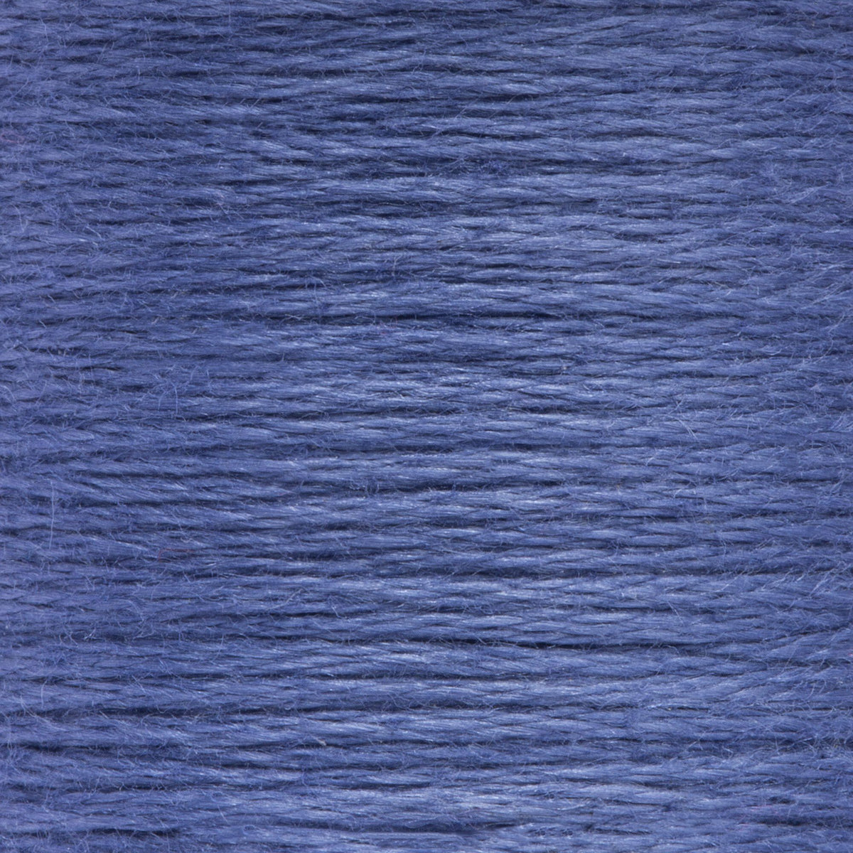 0122 Blueberry Medium