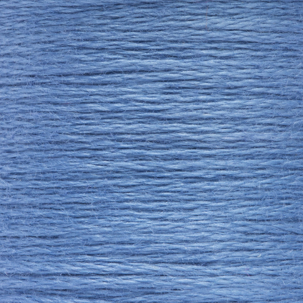 0136 Wedgewood Light