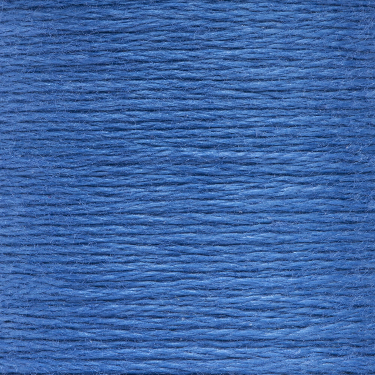 0137 Wedgewood Medium