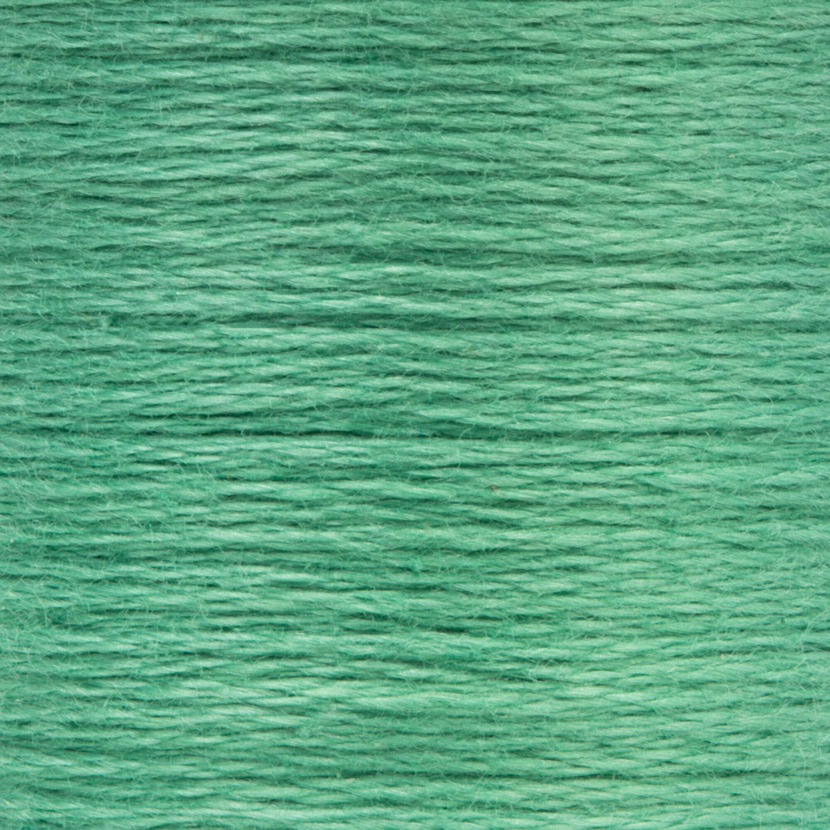 0208 Spruce Medium Light