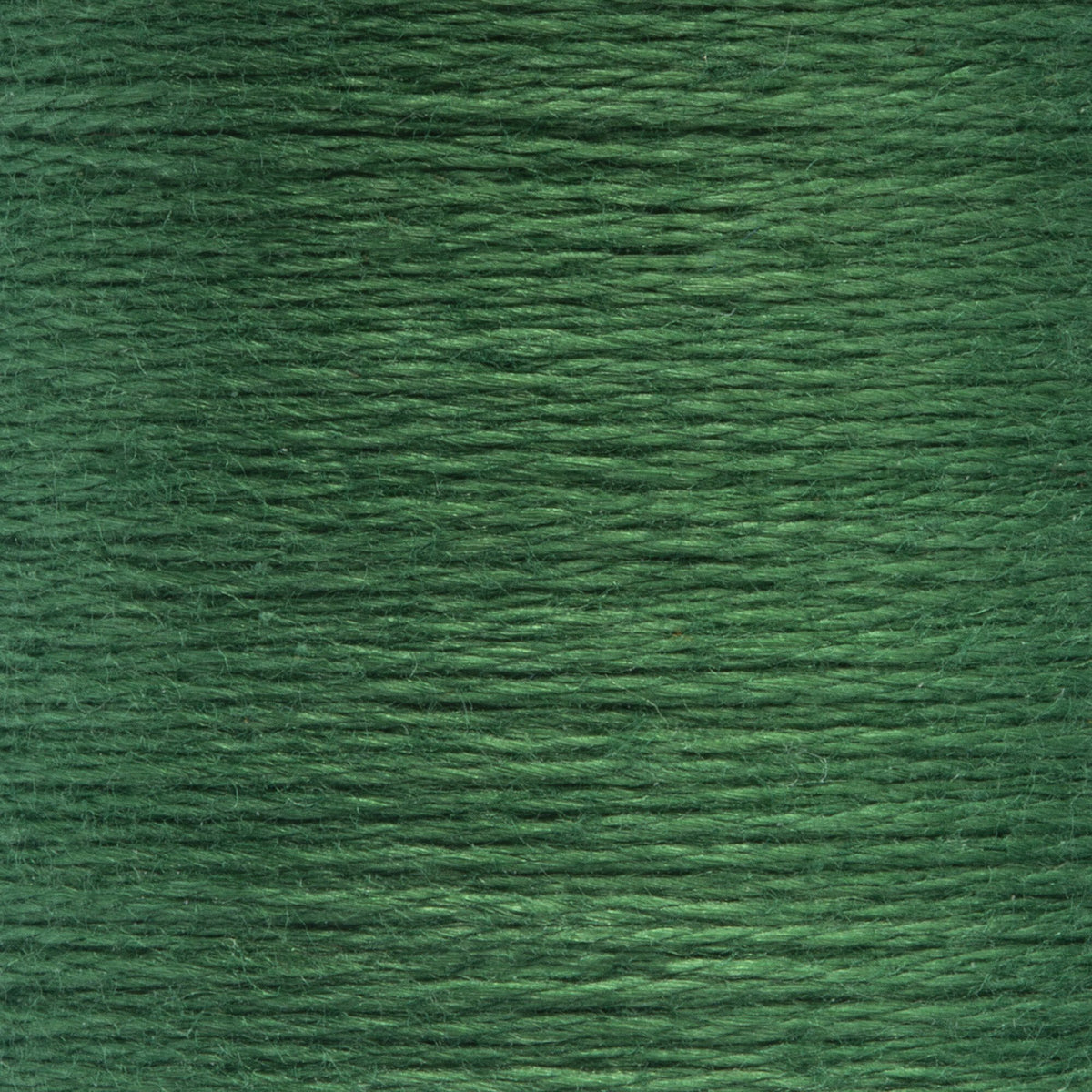 0211 Spruce Medium Dark