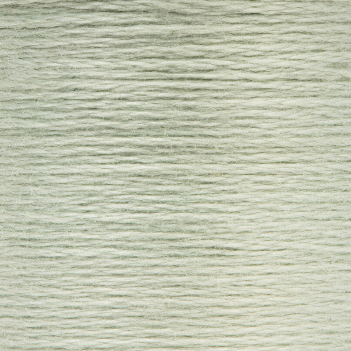 0213 Juniper Very Light