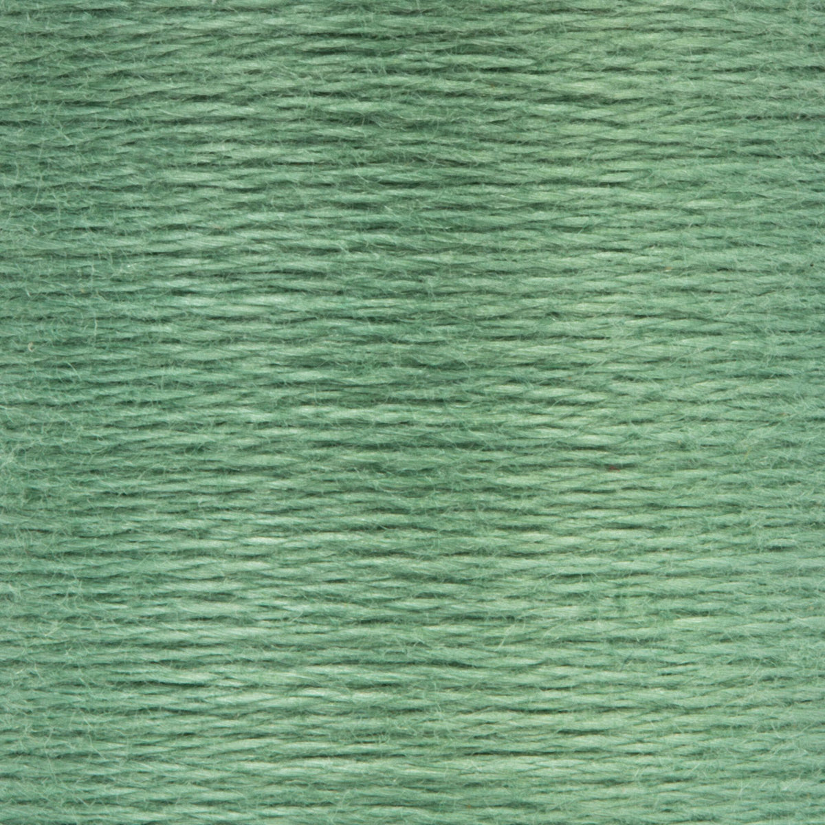 0215 Juniper Medium Light