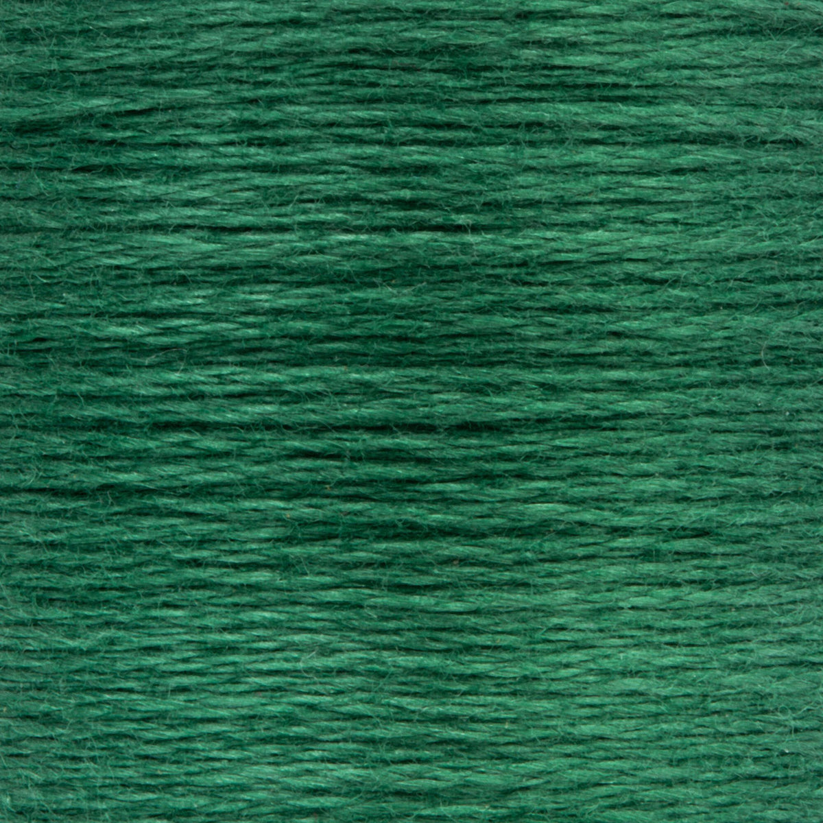 0217 Juniper Medium Dark