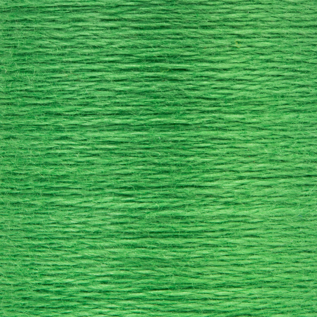 0226 Emerald Medium Light