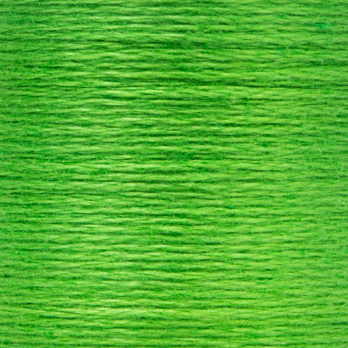 0238 Spring Green Medium