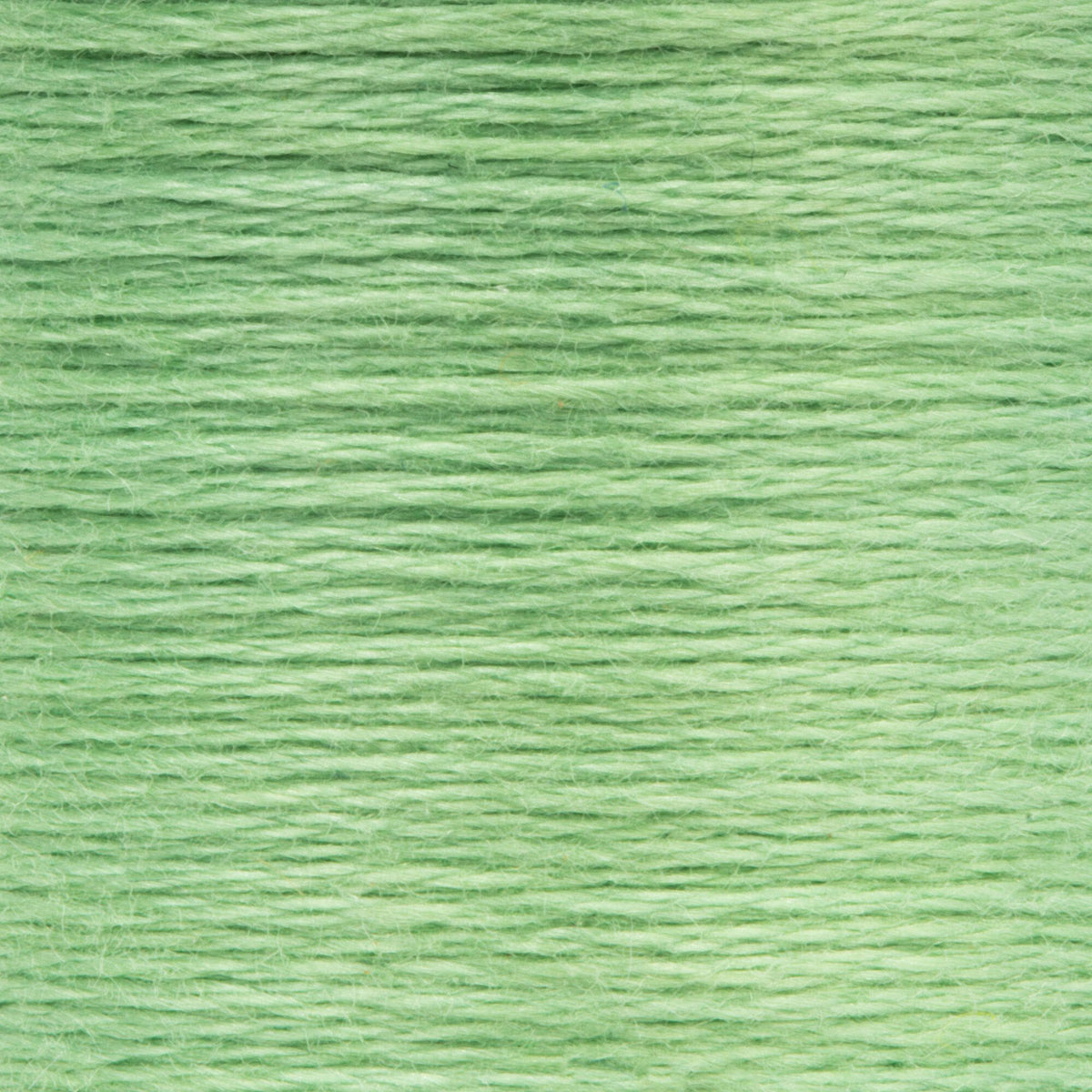 0240 Grass Green Light