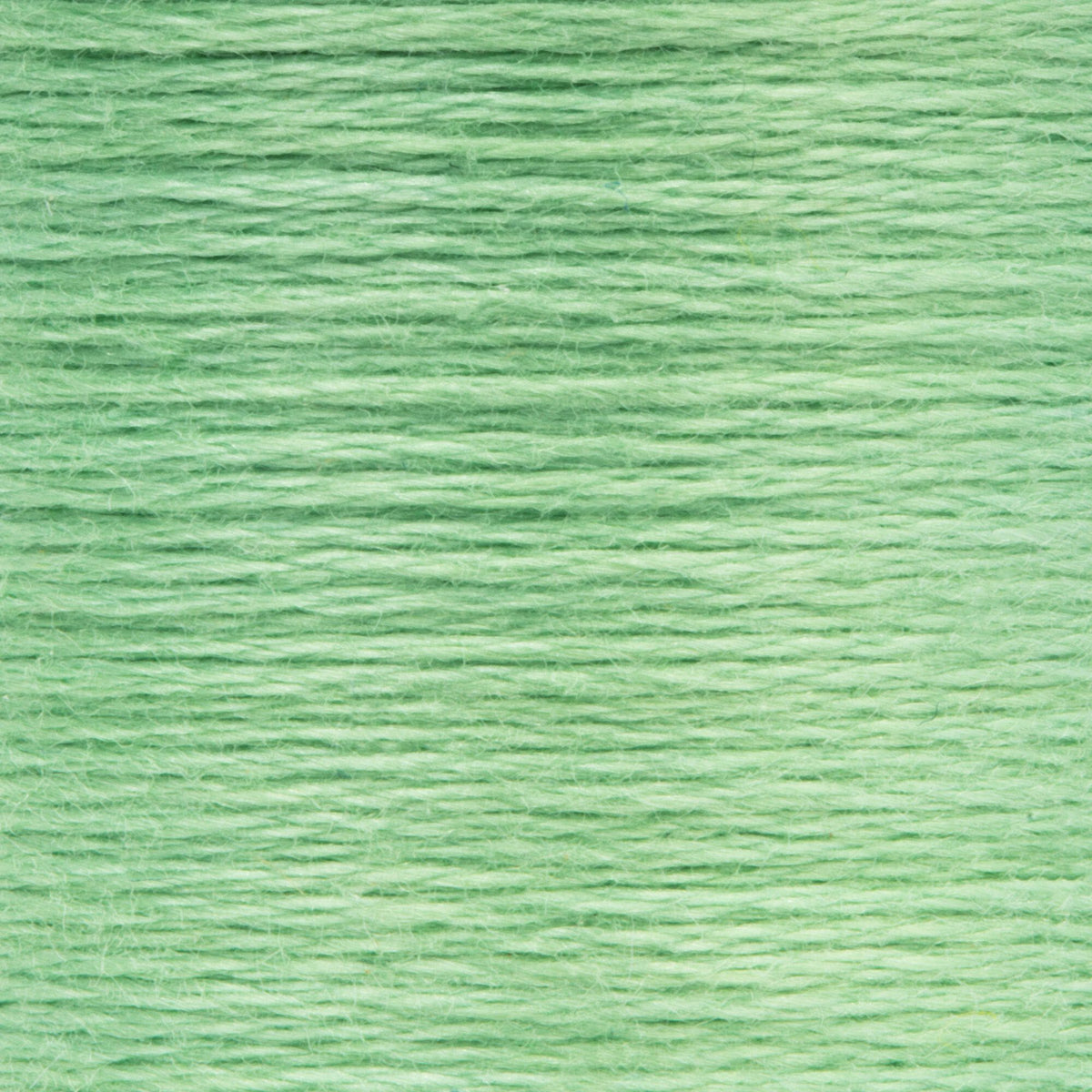 0241 Grass Green