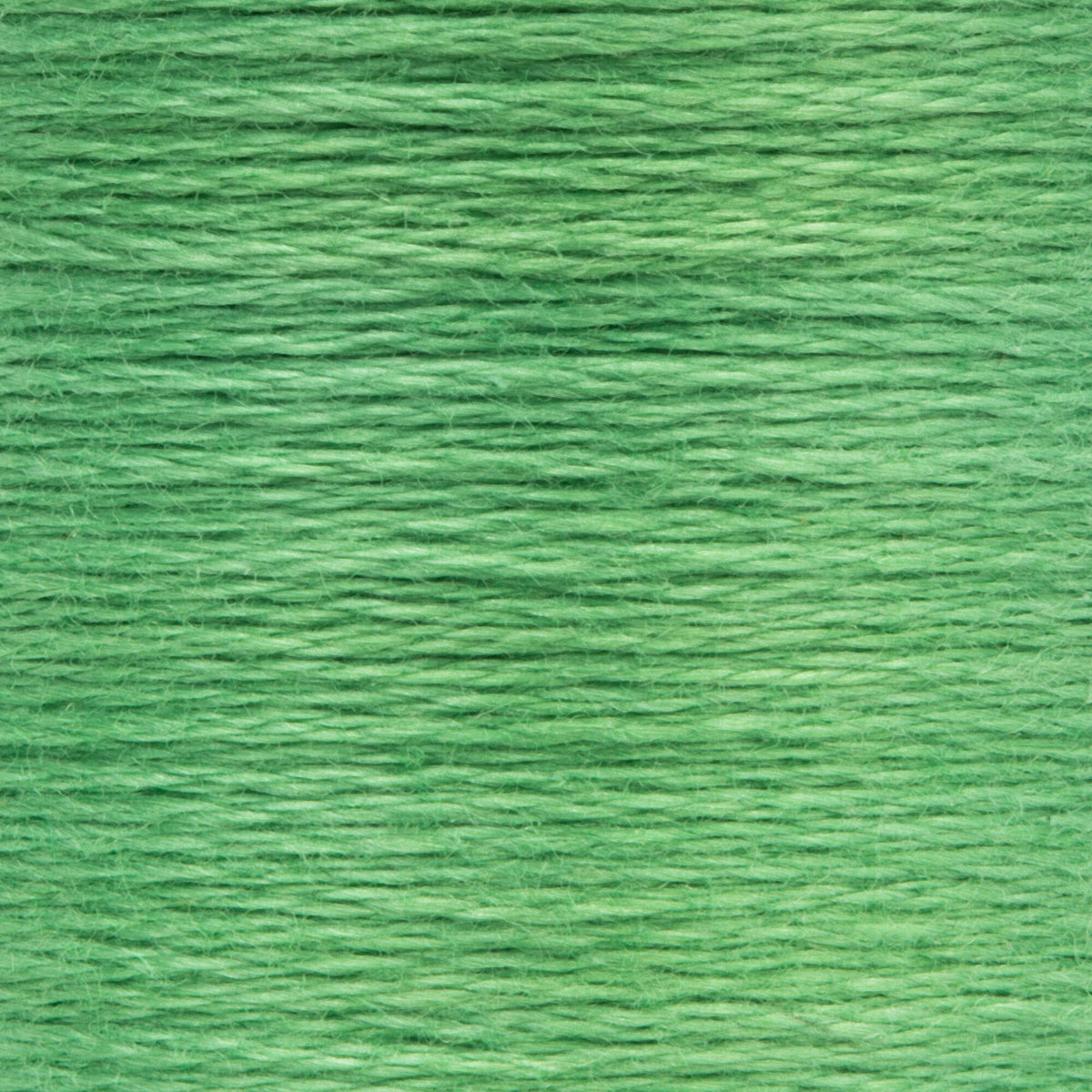 0242 Grass Green Medium Light