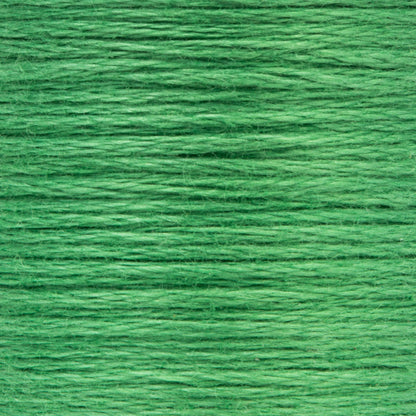 Anchor Spooled Floss 10 Meters (6 Pack) 0243 Grass Green Medium