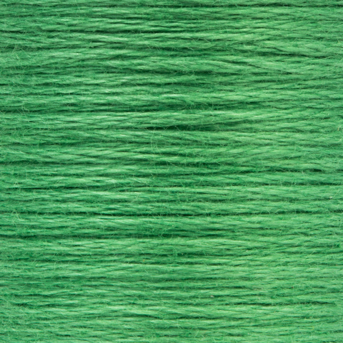 0243 Grass Green Medium