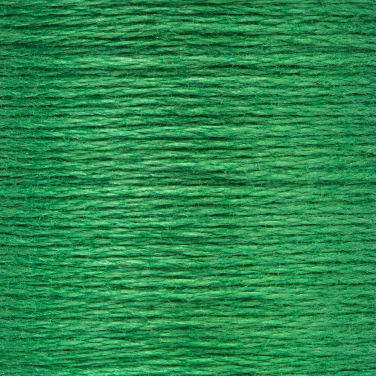 0244 Grass Green Medium Dark