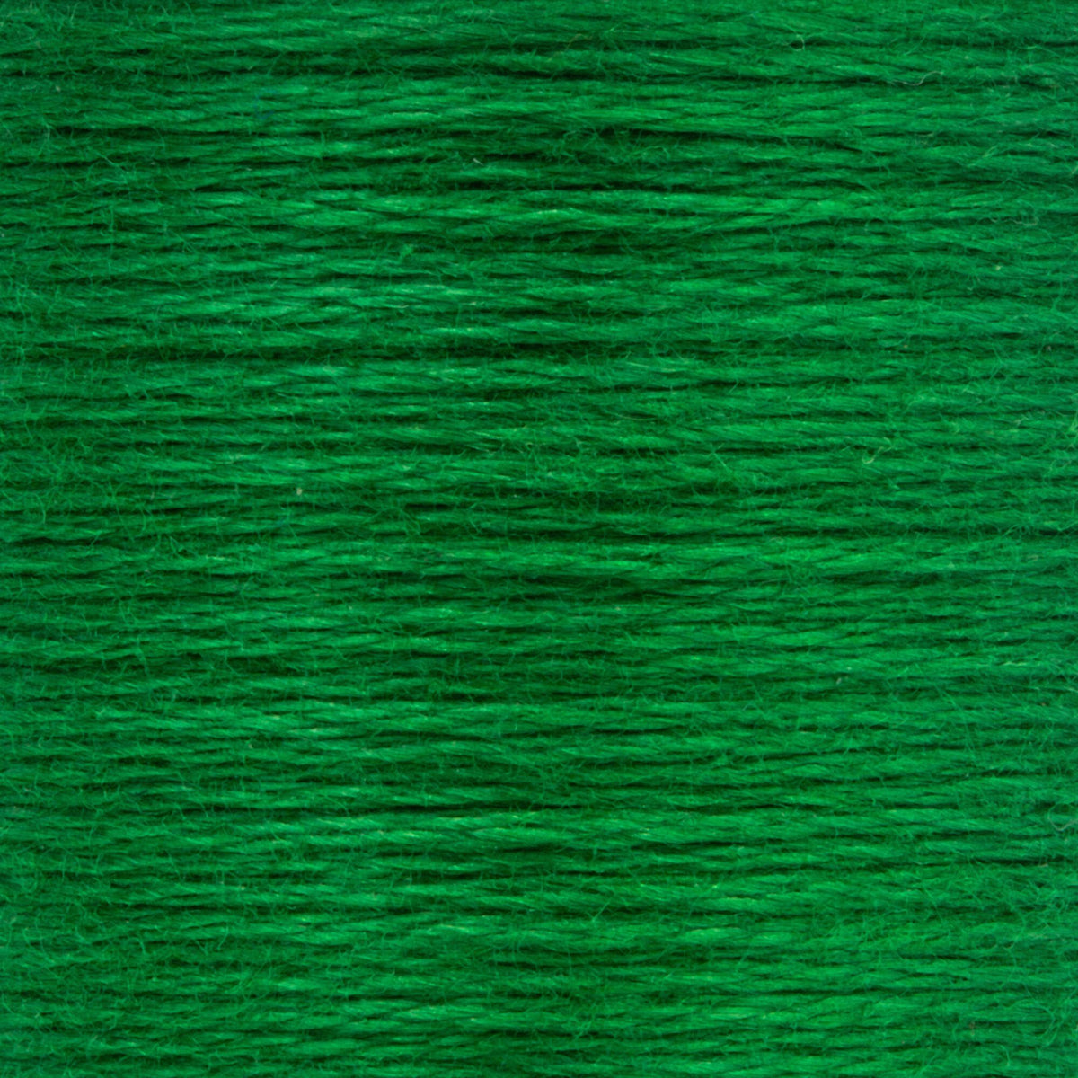 0245 Grass Green Dark