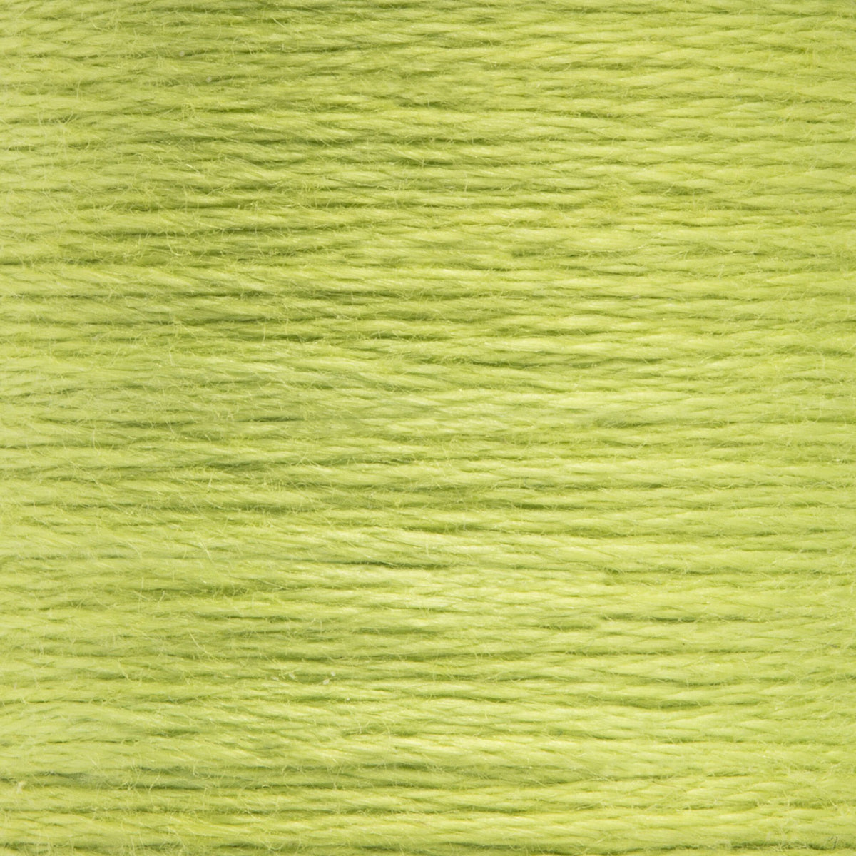 0254 Parrot Green Light