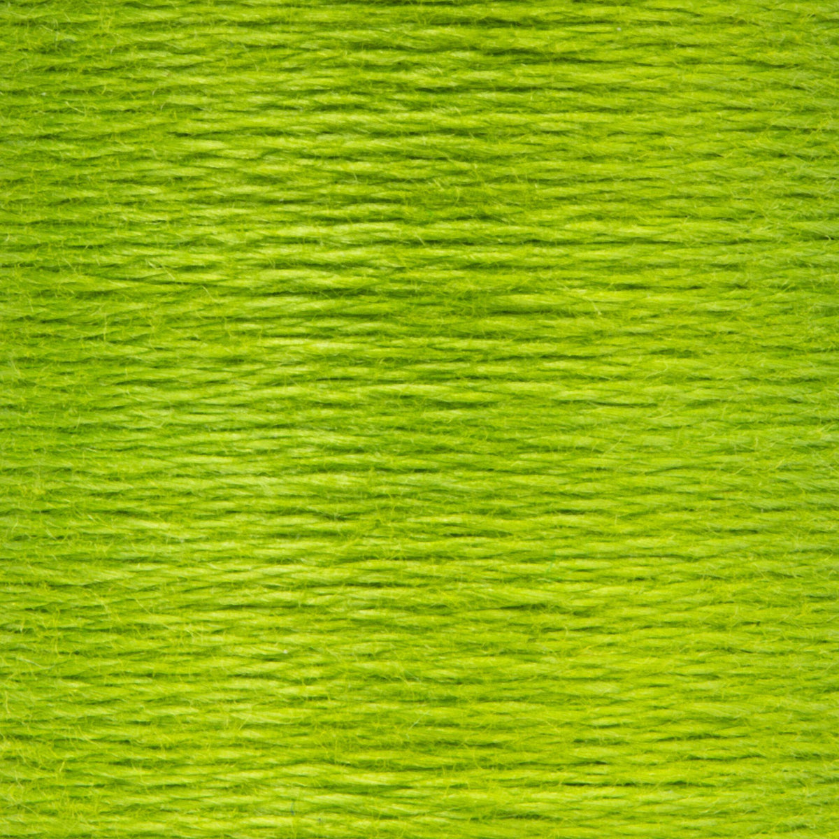 0255 Parrot Green Medium Light