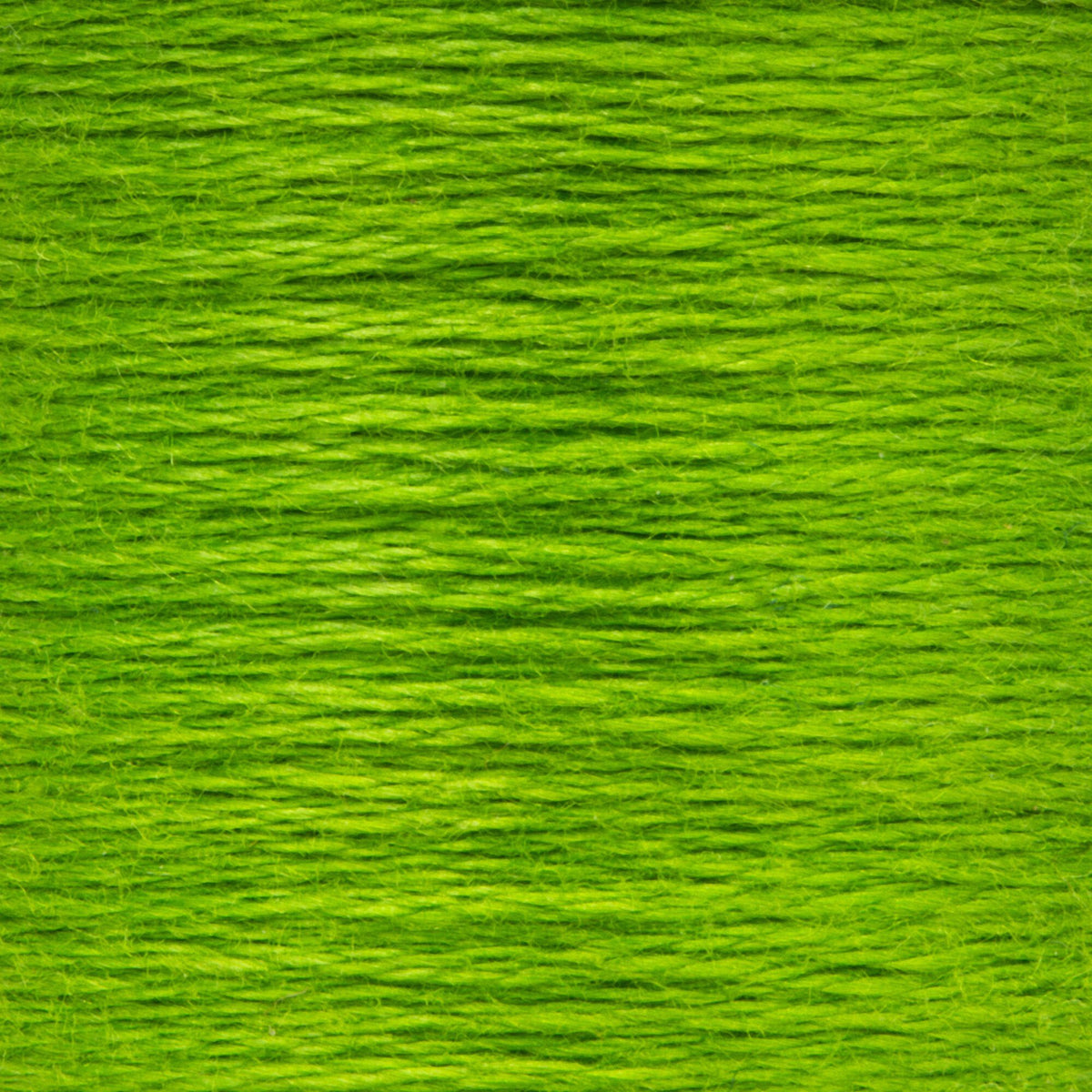 0256 Parrot Green Medium