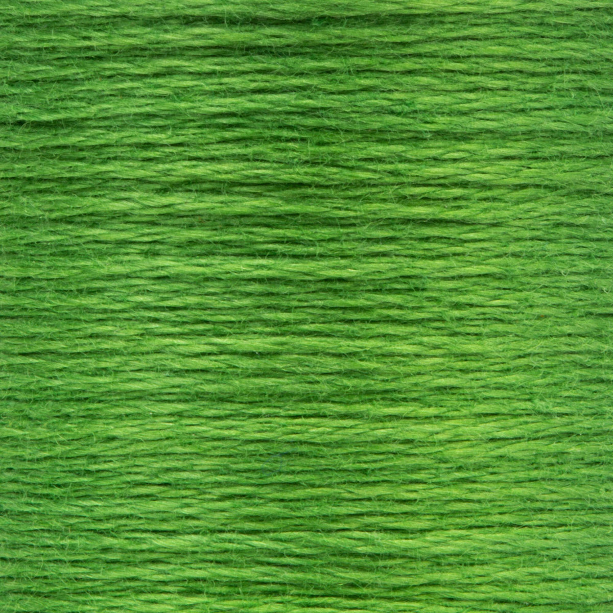 0257 Parrot Green Medium Dark