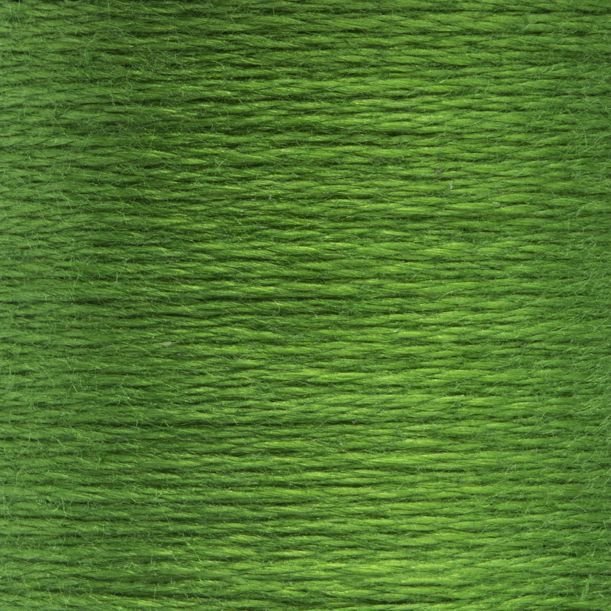 0258 Parrot Green Dark