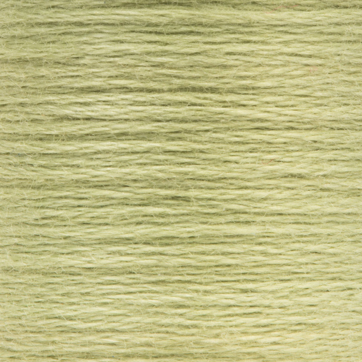 0260 Loden Green Light