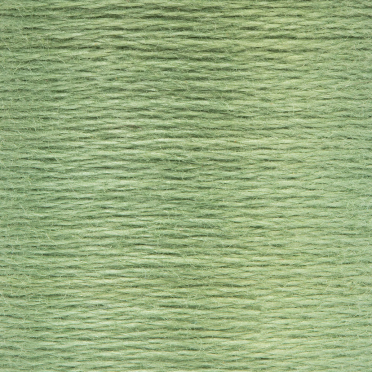 0261 Loden Green Medium Light