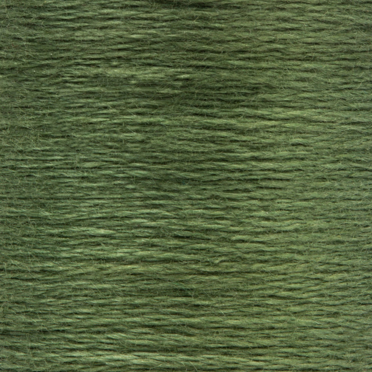 0262 Loden Green Medium