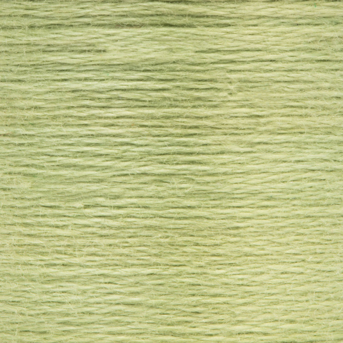 0264 Avocado Very Light