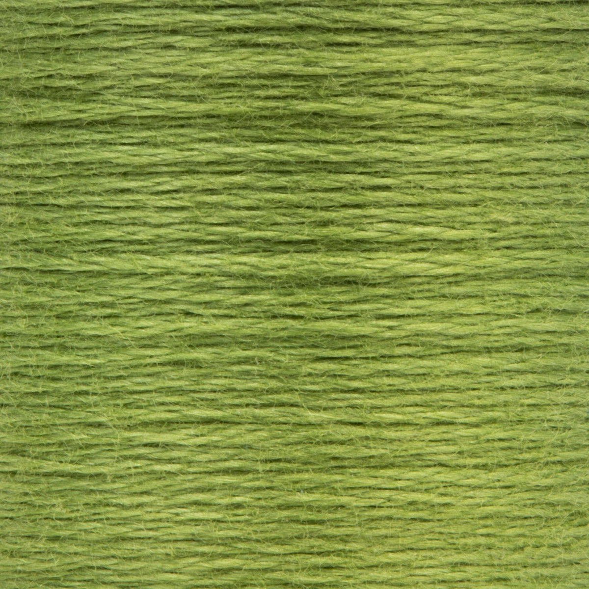 0266 Avocado Medium Light