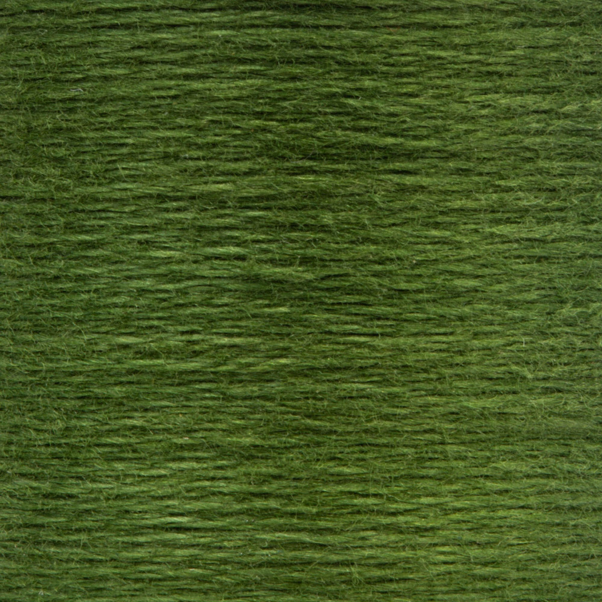 0268 Avocado Medium Dark