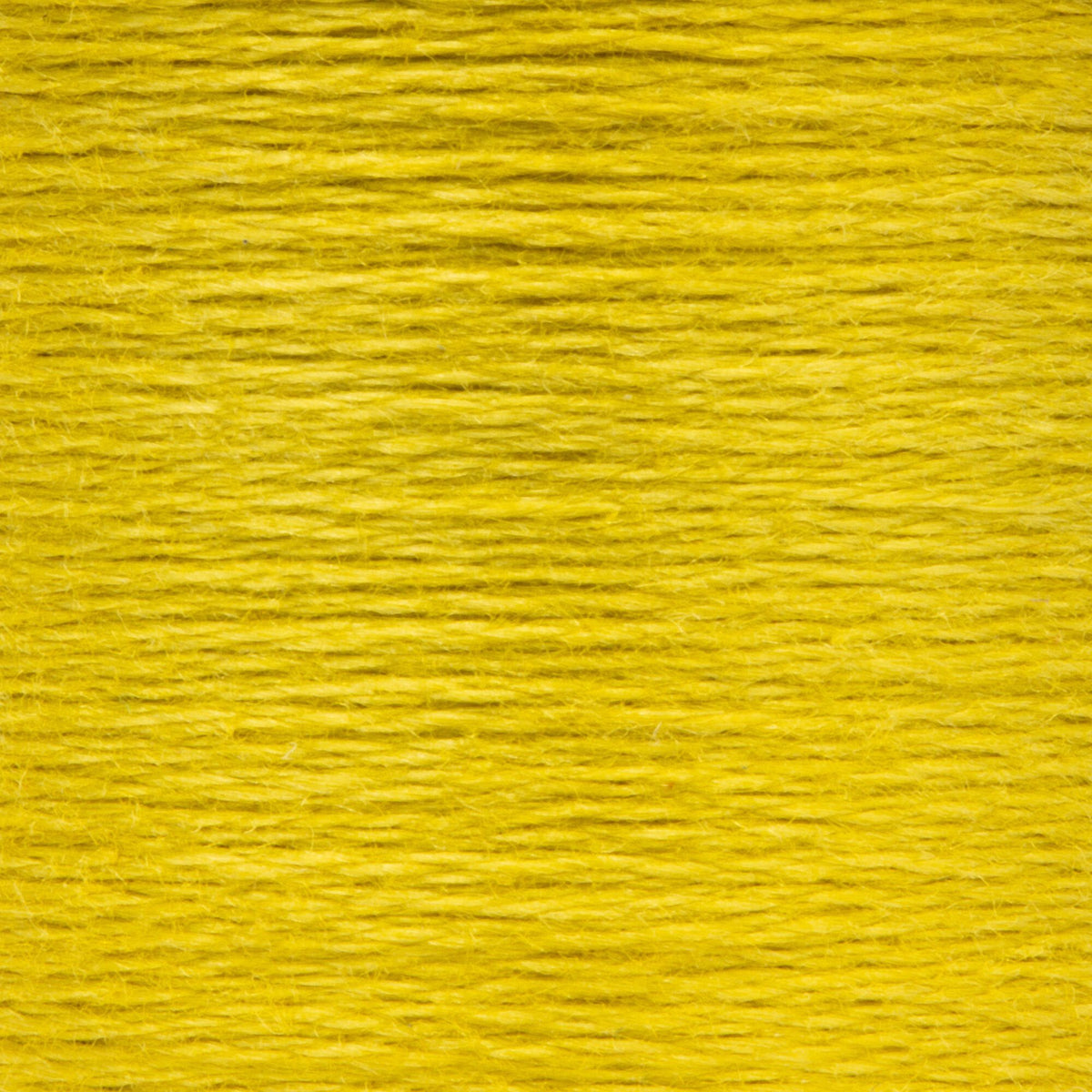 0279 Olive Green Medium Light