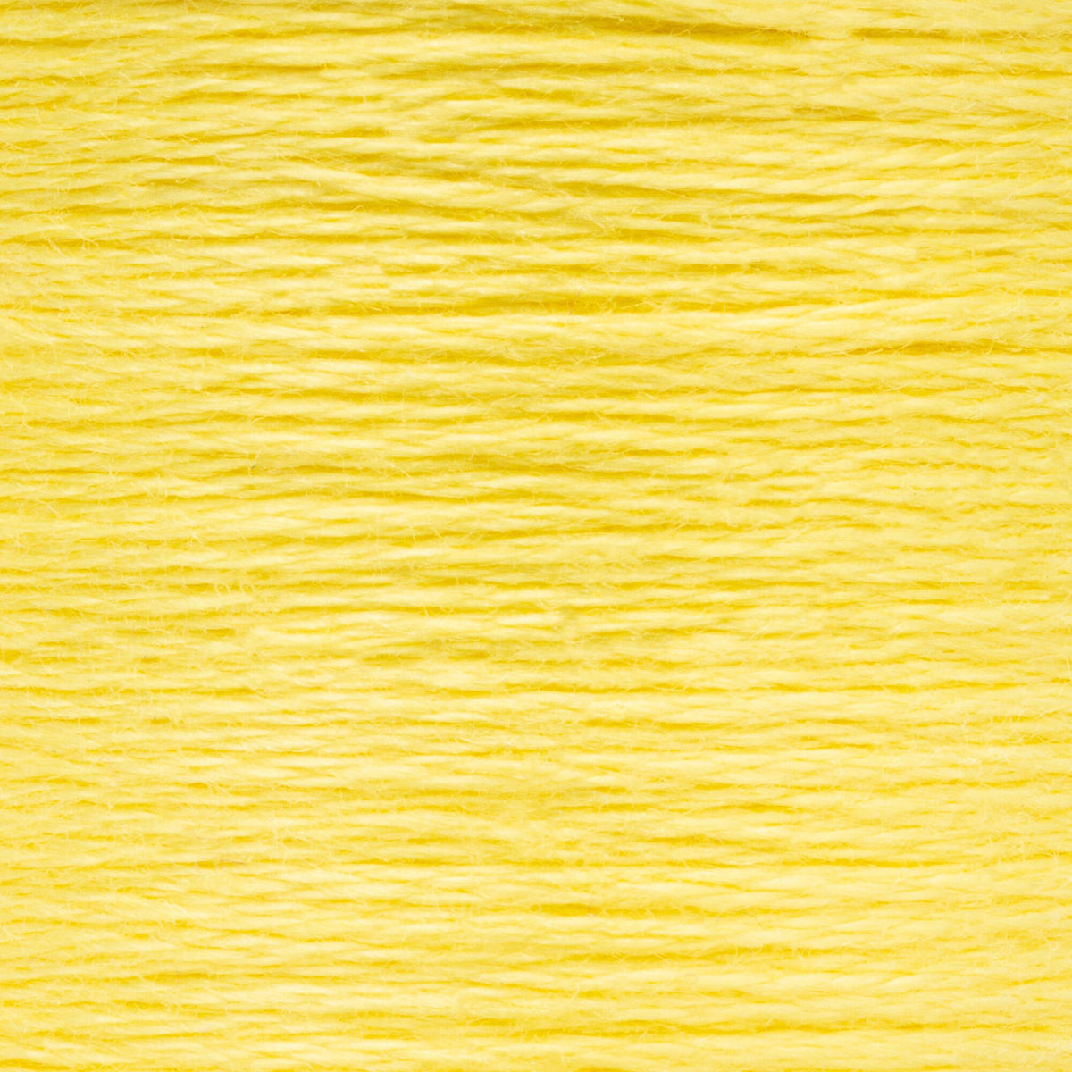 0288 Canary Yellow Light