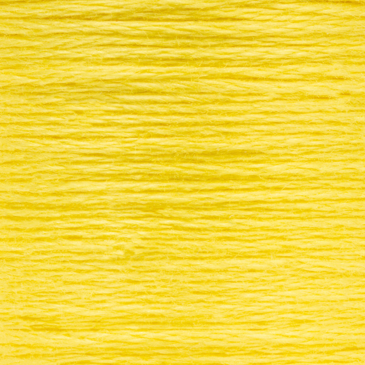 0289 Canary Yellow Medium Light