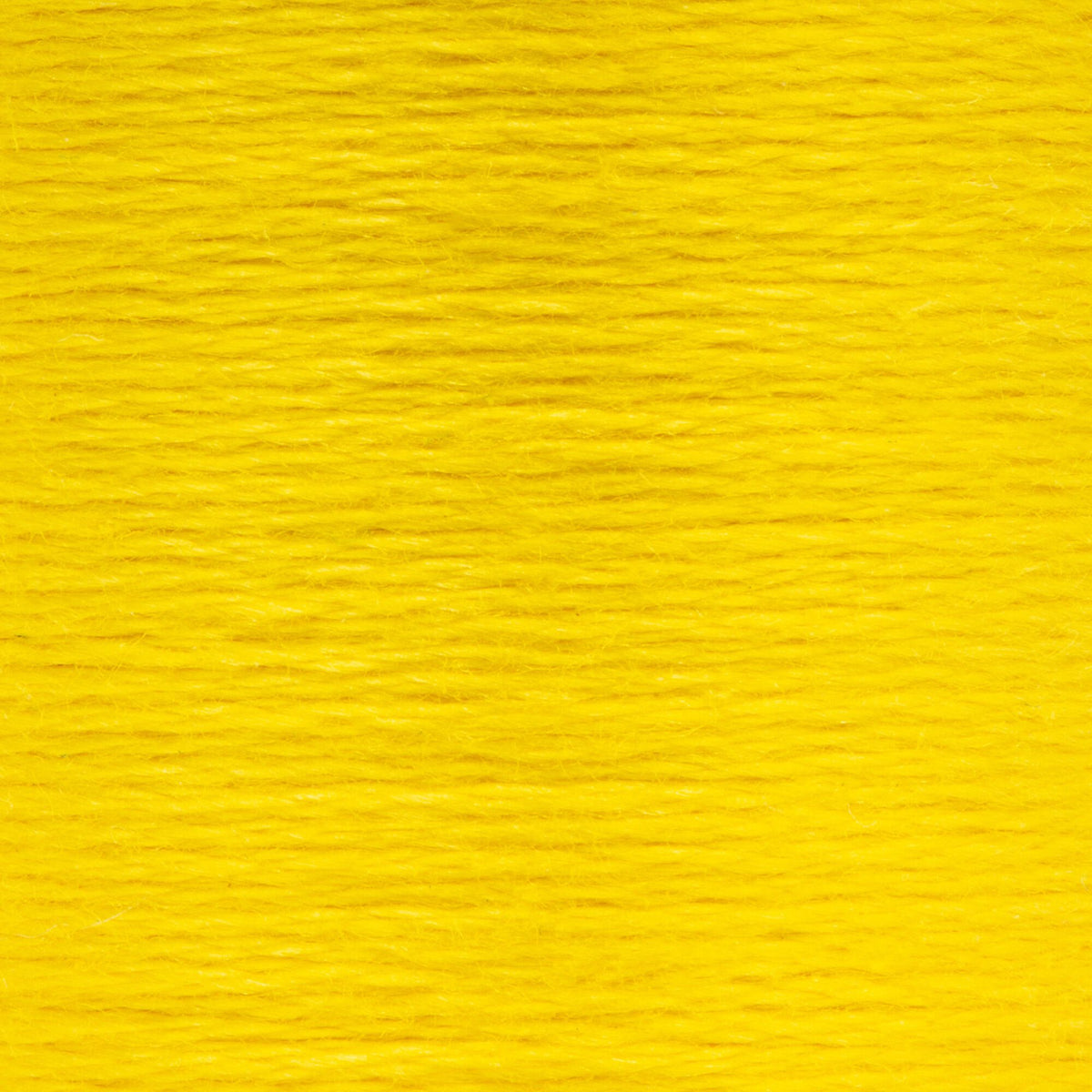 0290 Canary Yellow Medium