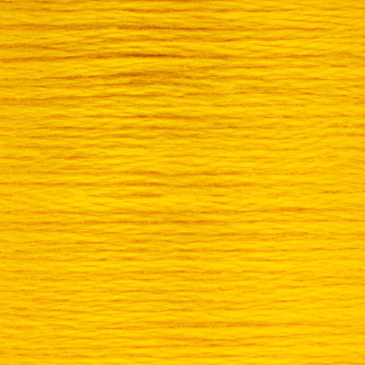0291 Canary Yellow Dark