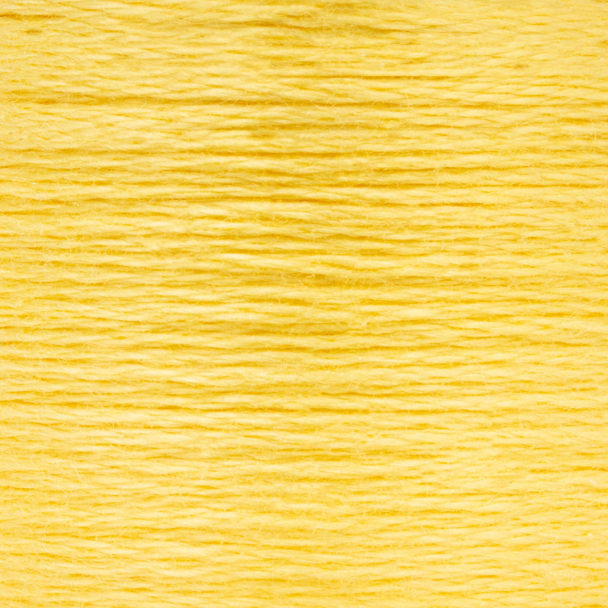 0295 Jonquil Medium Light