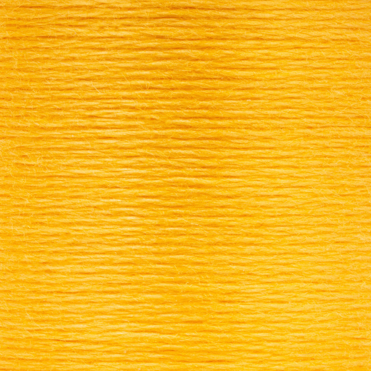 0302 Citrus Medium Light
