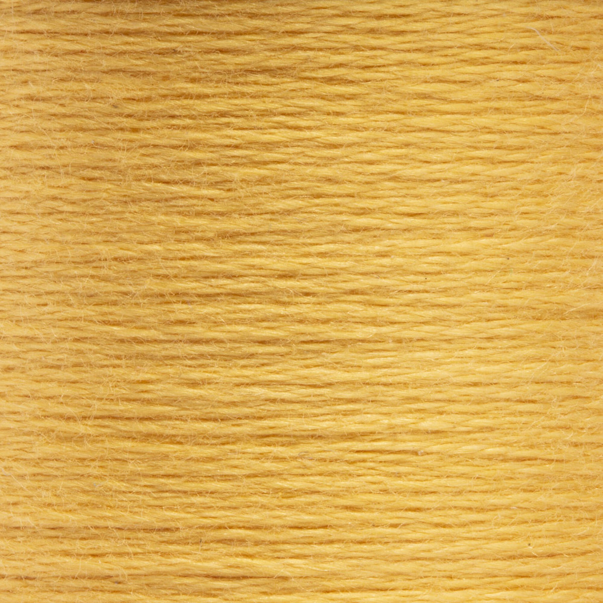 0311 Tangerine Very Light