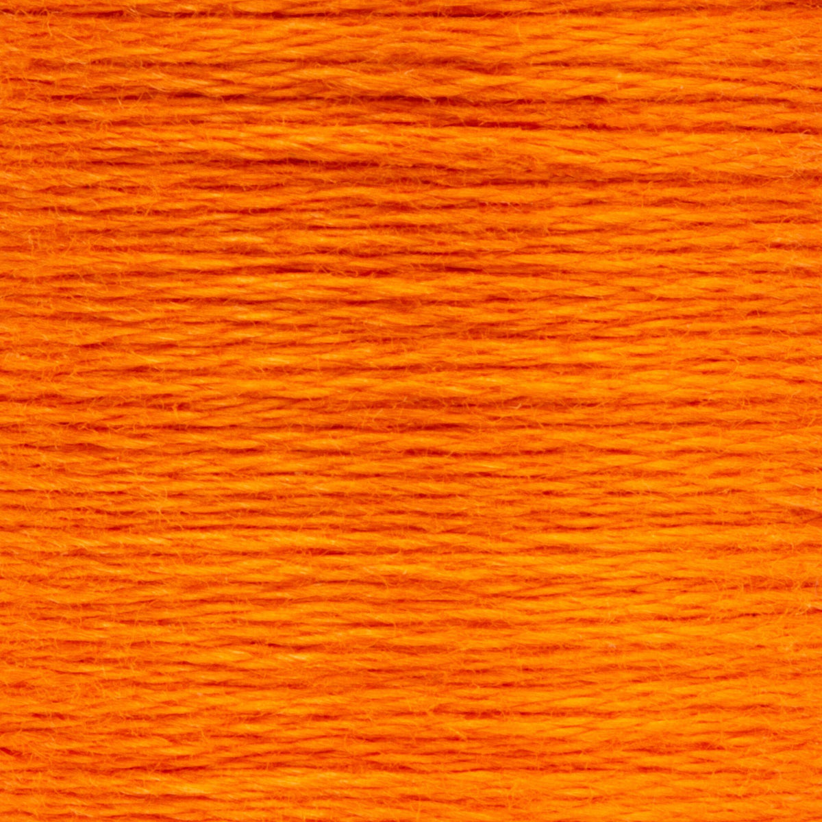 0324 Apricot Medium