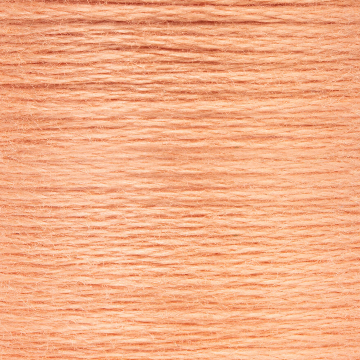 0336 Terra Cotta Light