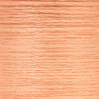 Anchor Spooled Floss 10 Meters - Clearance Shades 0336 Terra Cotta Light