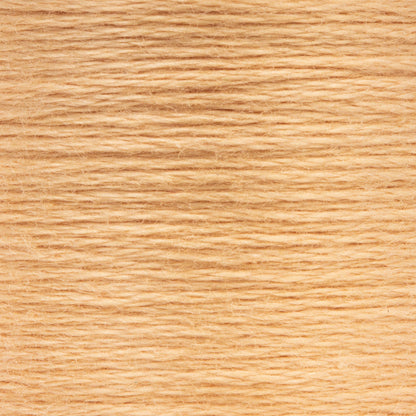 Anchor Spooled Floss 10 Meters - Clearance Shades 0361 Nutmeg Light