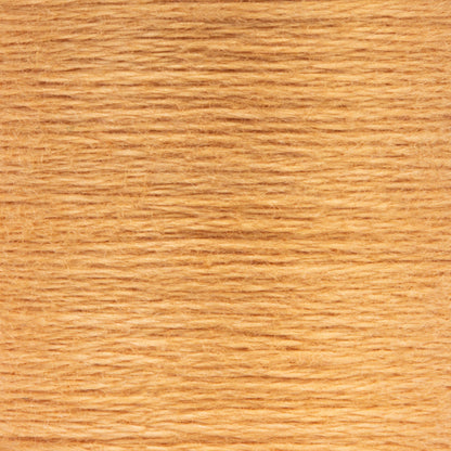 Anchor Spooled Floss 10 Meters - Clearance Shades 0362 Nutmeg Medium Light