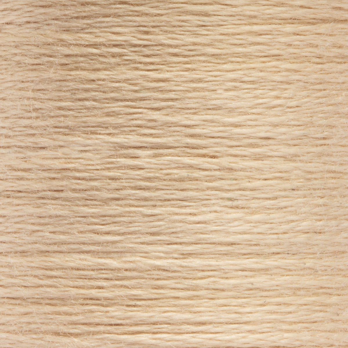 0366 Spice Very Light