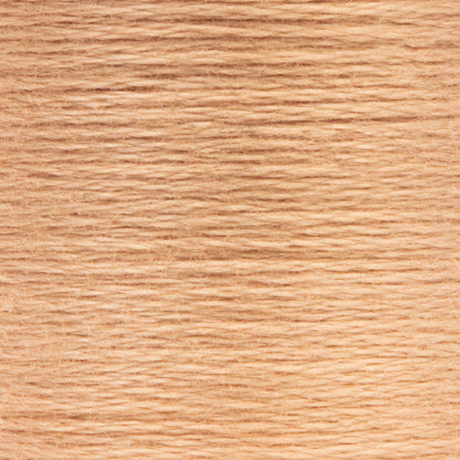 Anchor Spooled Floss 10 Meters - Clearance Shades 0367 Spice Light