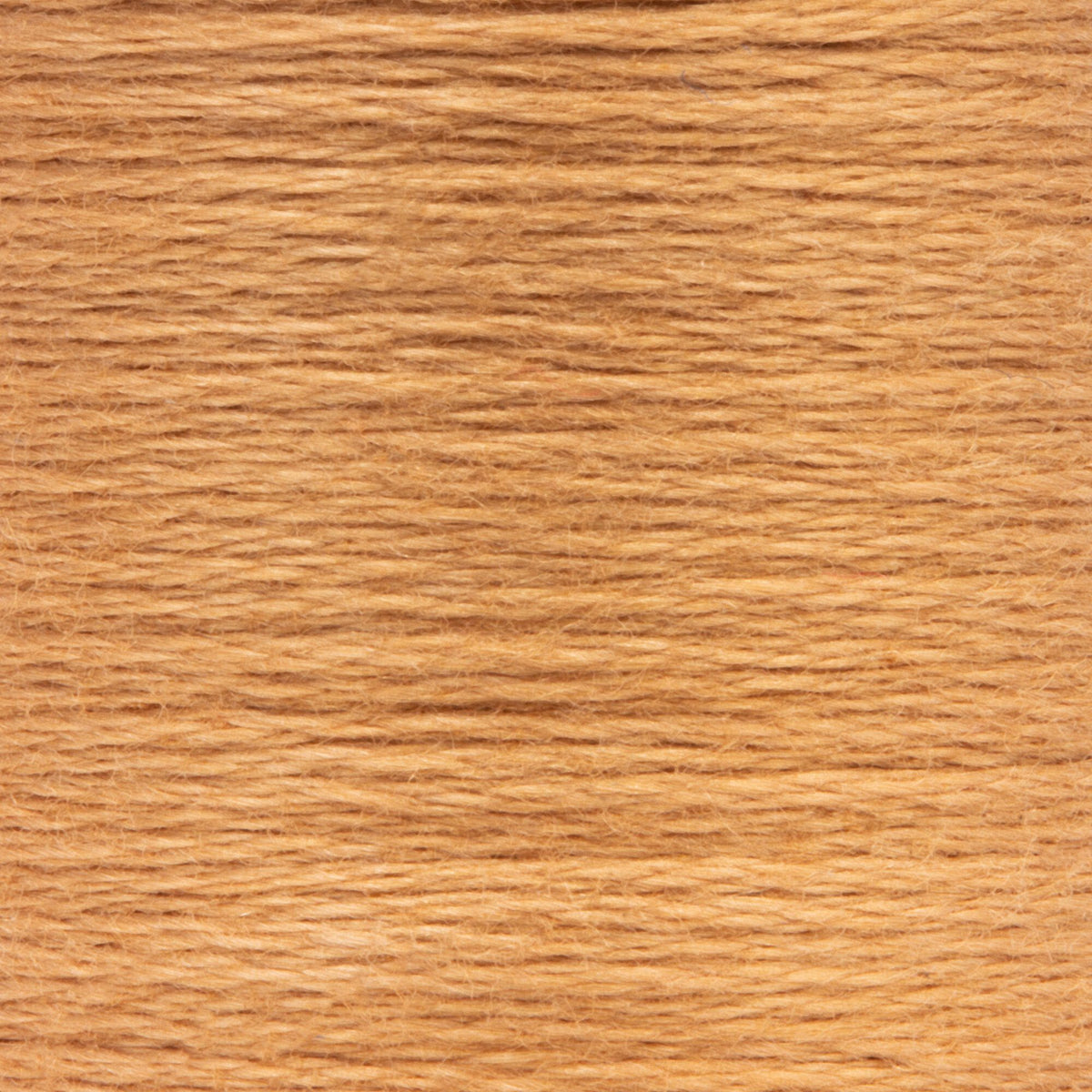 0368 Spice Medium Light