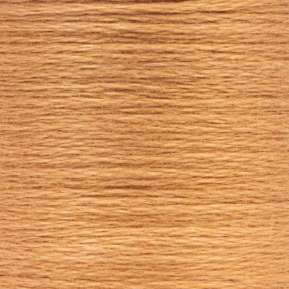 Anchor Spooled Floss 10 Meters - Clearance Shades 0368 Spice Medium Light