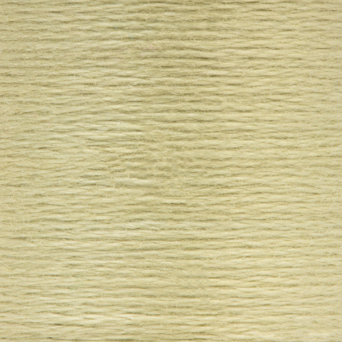 0842 Fern Green Light