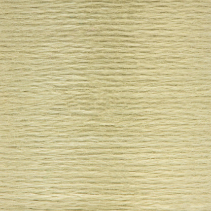 Anchor Spooled Floss 10 Meters - Clearance Shades 0842 Fern Green Light