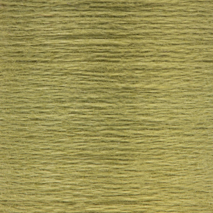 Anchor Spooled Floss 10 Meters - Clearance Shades 0843 Fern Green