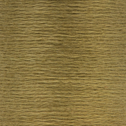 Anchor Spooled Floss 10 Meters - Clearance Shades 0844 Fern Green Medium